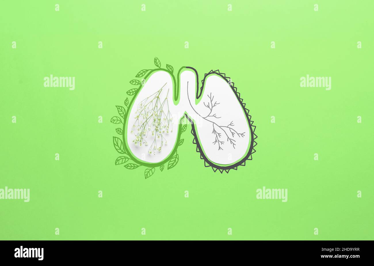 Polmoni umani con fiori freschi e rami disegnati su sfondo verde Foto Stock