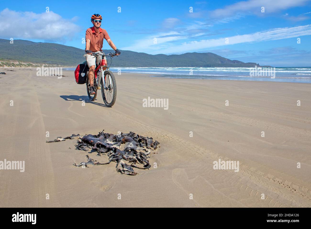 In bicicletta sulla spiaggia di Cloudy Bay, Bruny Island Foto Stock