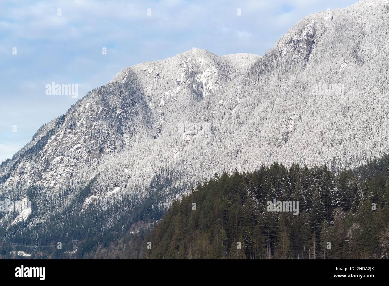 Scenario di alta montagna con pini e alta vetta. Splendidi paesaggi naturali al mattino a BC, Canada. Foto di viaggio, nessuno, spazio di copia per Foto Stock