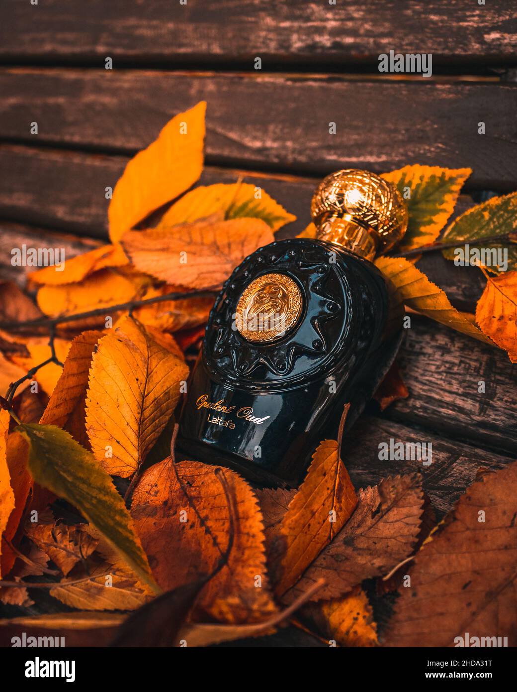 Bottiglia di profumo arabo con texture di lusso in una scena autunnale Foto Stock