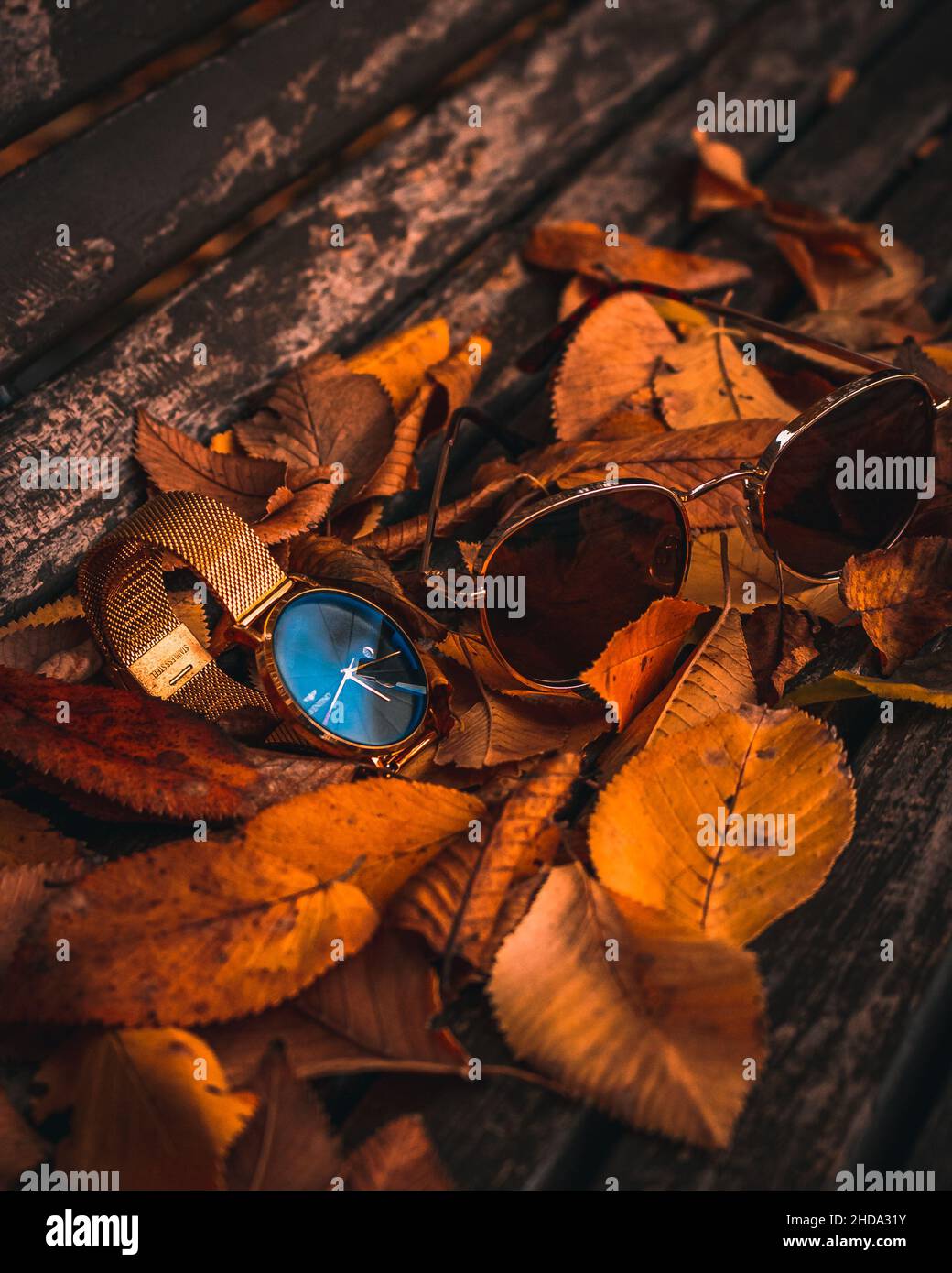 Orologio Aventino dorato e occhiali da sole dorati in una scena autunnale Foto Stock