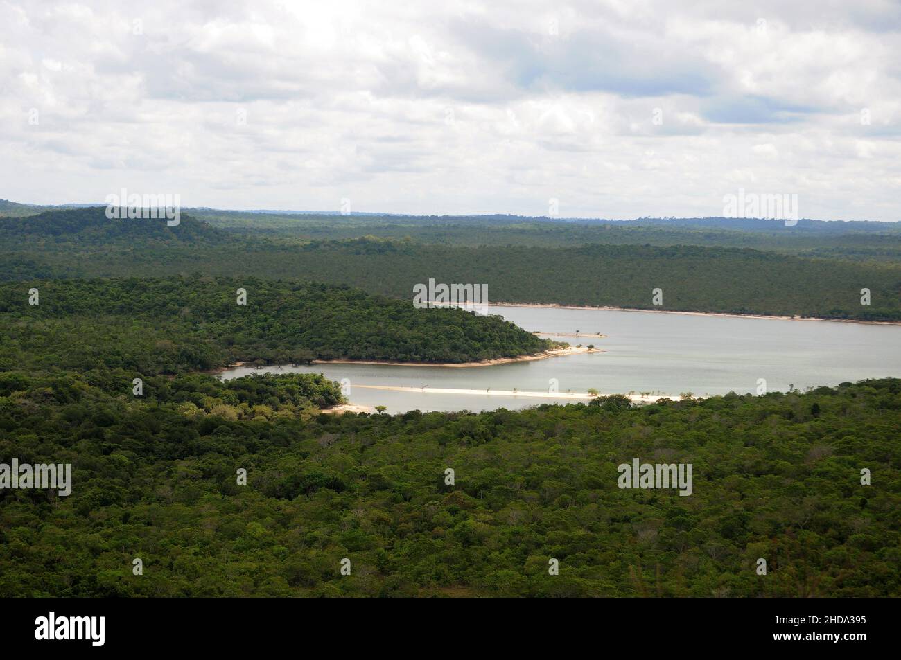 Vista della vegetazione della savana amazzonica nella città di Alter do Chão, nello stato di Pará, Brasile. Foto Stock