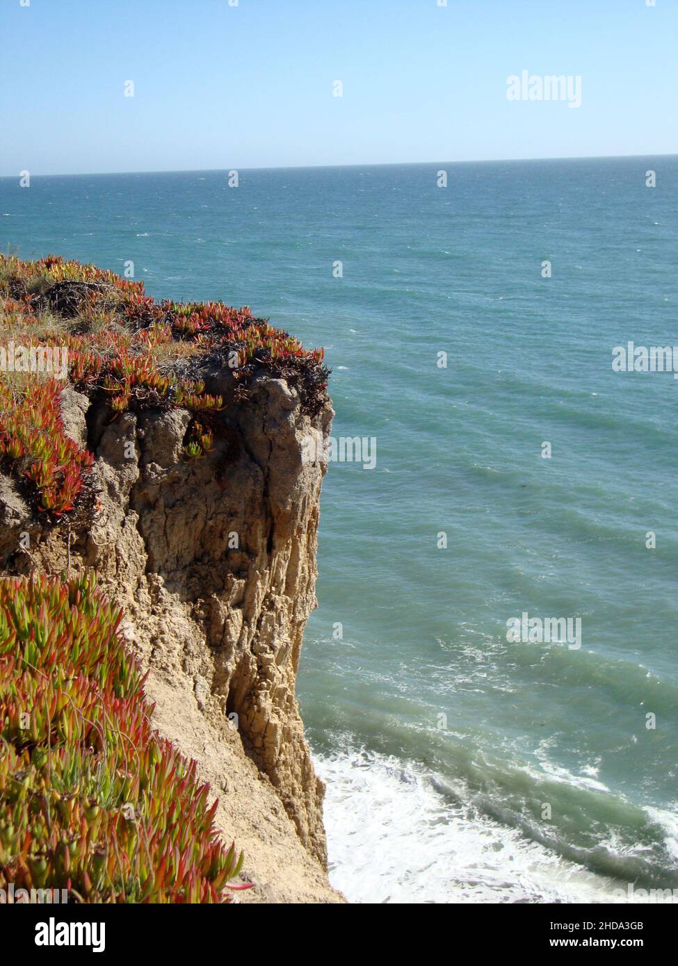 Foto di una scogliera con piante di ghiaccio che si affacciano sulle onde dell'oceano lungo la costa della California settentrionale, USA Foto Stock
