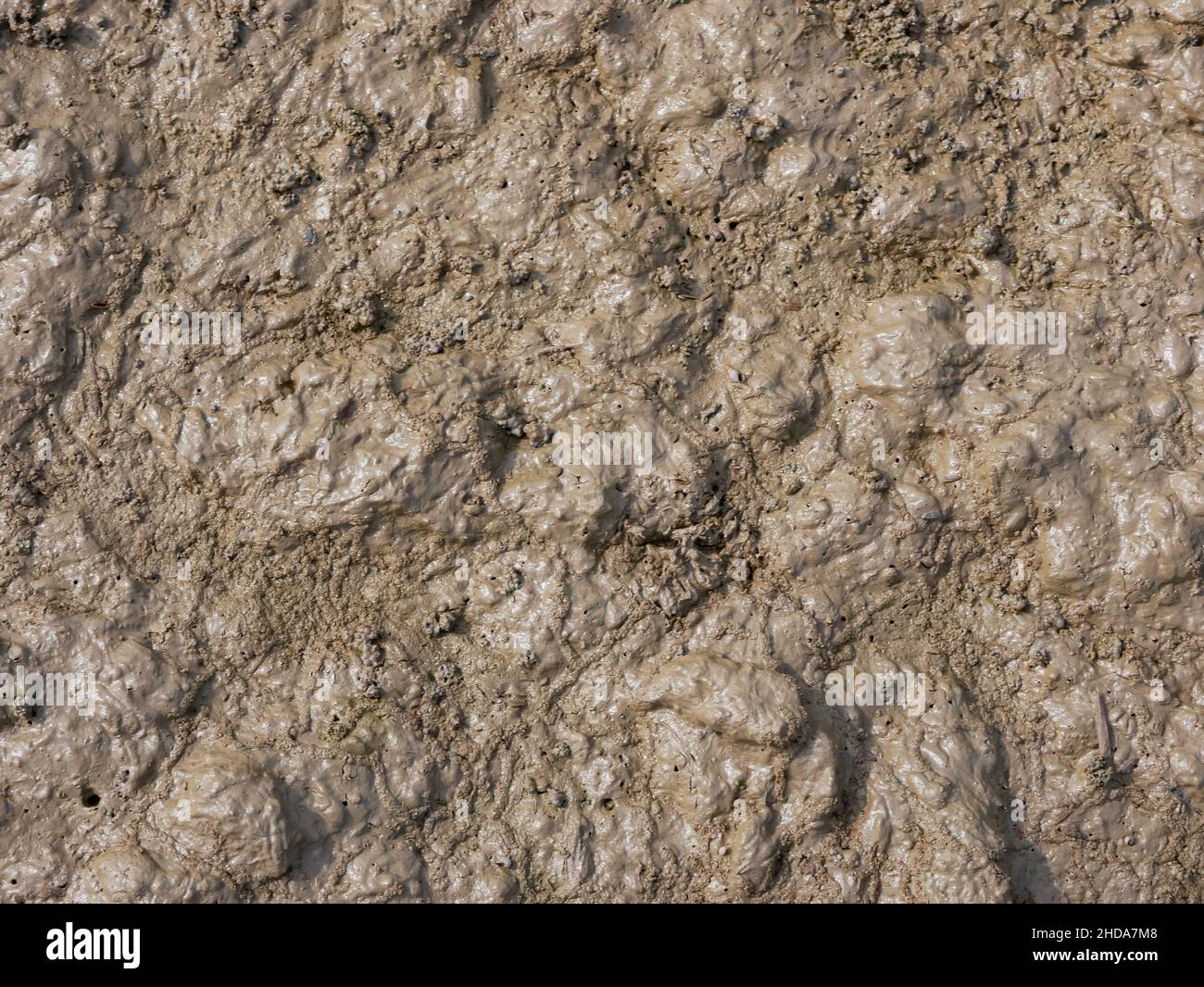 bagnato asciutto marrone trama di suolo. Foto Stock