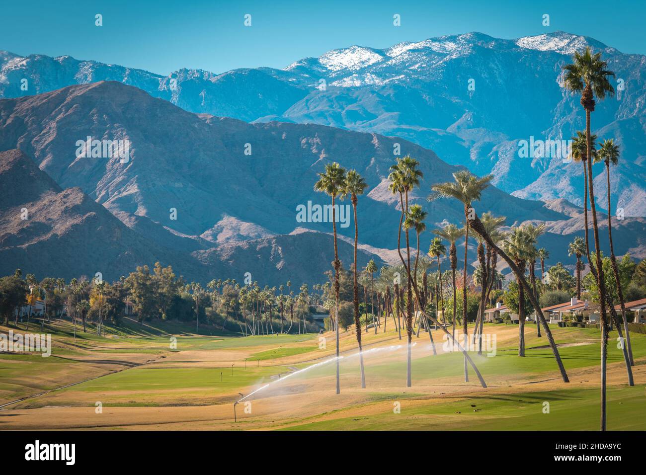 Paesaggio panoramico del deserto di Palm California. Stagione invernale in Val di Coachella. Stati Uniti della California. Foto Stock