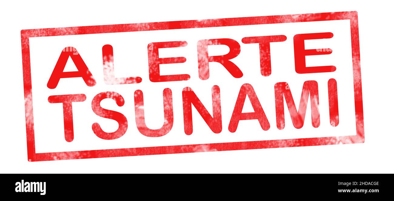 Allarme tsunami in francese scrittura di traduzione in inchiostro rosso pad Foto Stock
