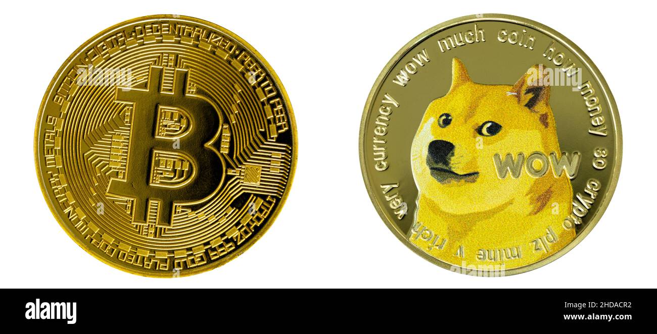Bitcoin e Dogecoin isolati su sfondo bianco. Criptocurrency - foto di oro bitcoin oro fisico moneta e Doge moneta. Simbolo di cripto Foto Stock