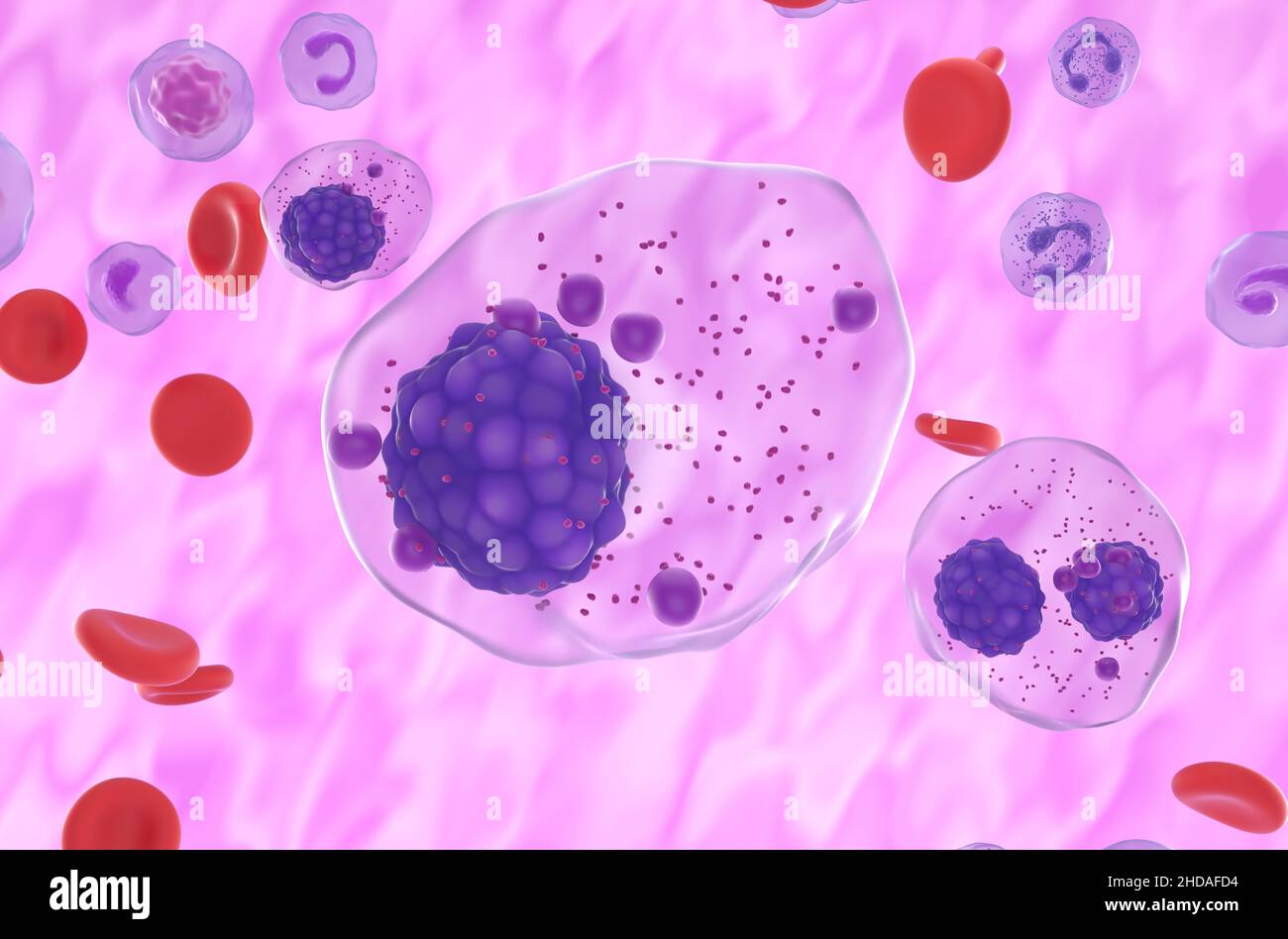 Cellule di mieloma multiplo nel flusso sanguigno - primo piano vista 3D illustrazione Foto Stock