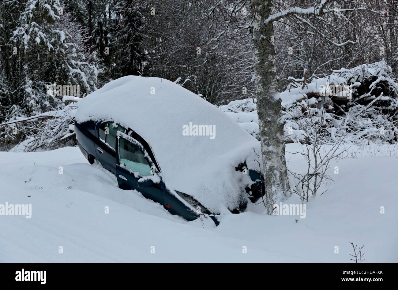 Incidente stradale in cui un'automobile del passeggero è stata guidata contro un albero nella campagna Foto Stock