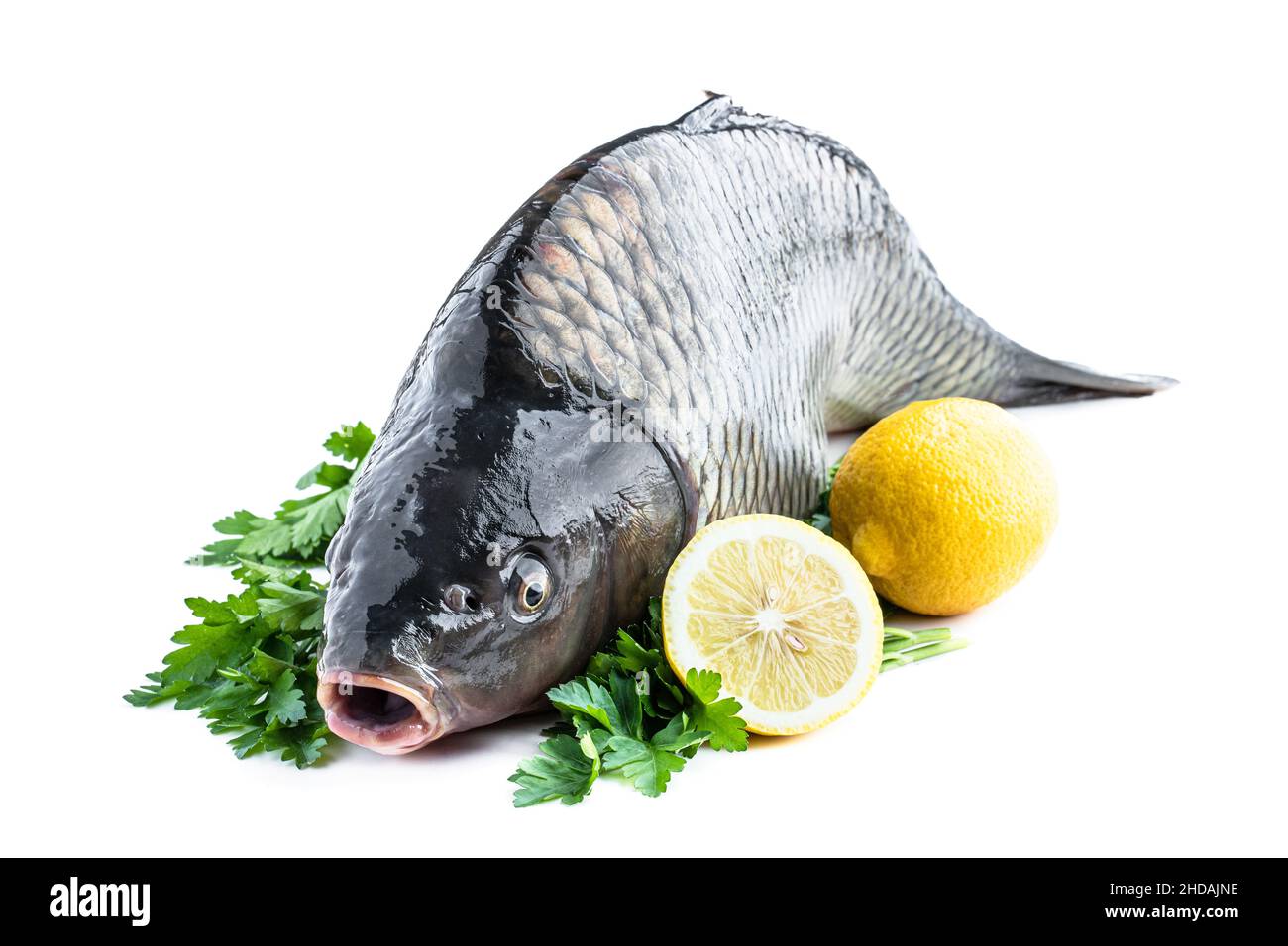 Grosso pesce di carpa fresco con prezzemolo e limone isolato su bianco Foto Stock