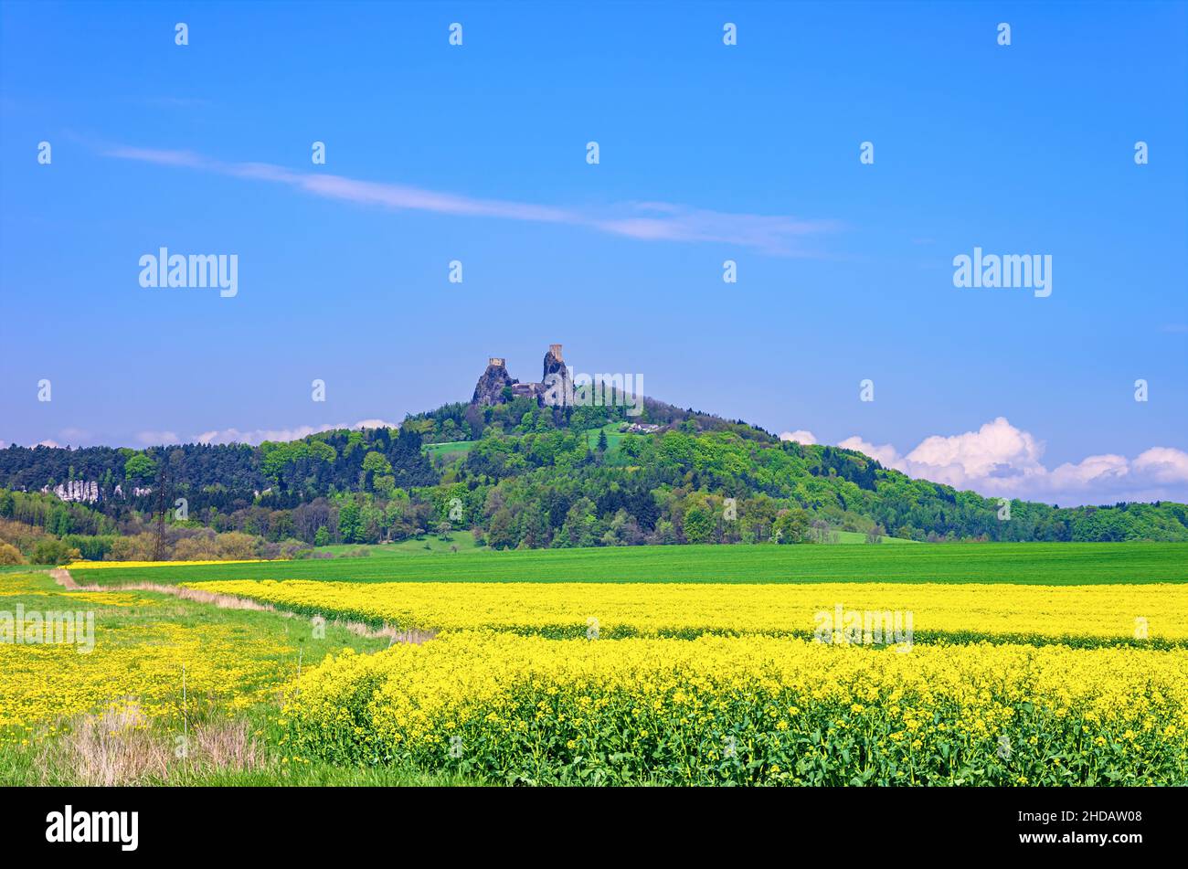 Bellissimo scenario di campi di canola e il Castello di Trosky nel lontano, paradiso bohemiano (Cesky Raj), Kalovehradecky Kraj, Repubblica Ceca. Foto Stock