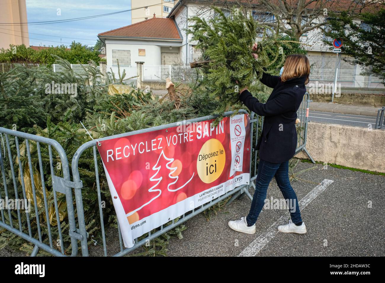 Ste Foy les Lyon (Francia), 4 gennaio 2022. Una donna che cade fuori il suo albero di Natale ad un punto di raccolta per riciclare gli alberi di Natale. Foto Stock