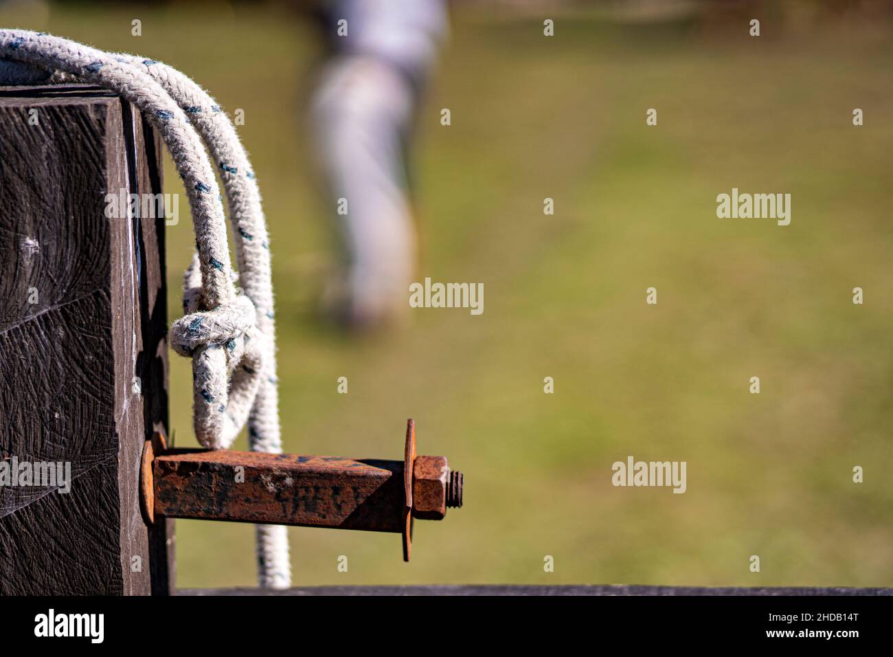 Sport della cultura argentina. Dressage di cavalli. Foto Stock