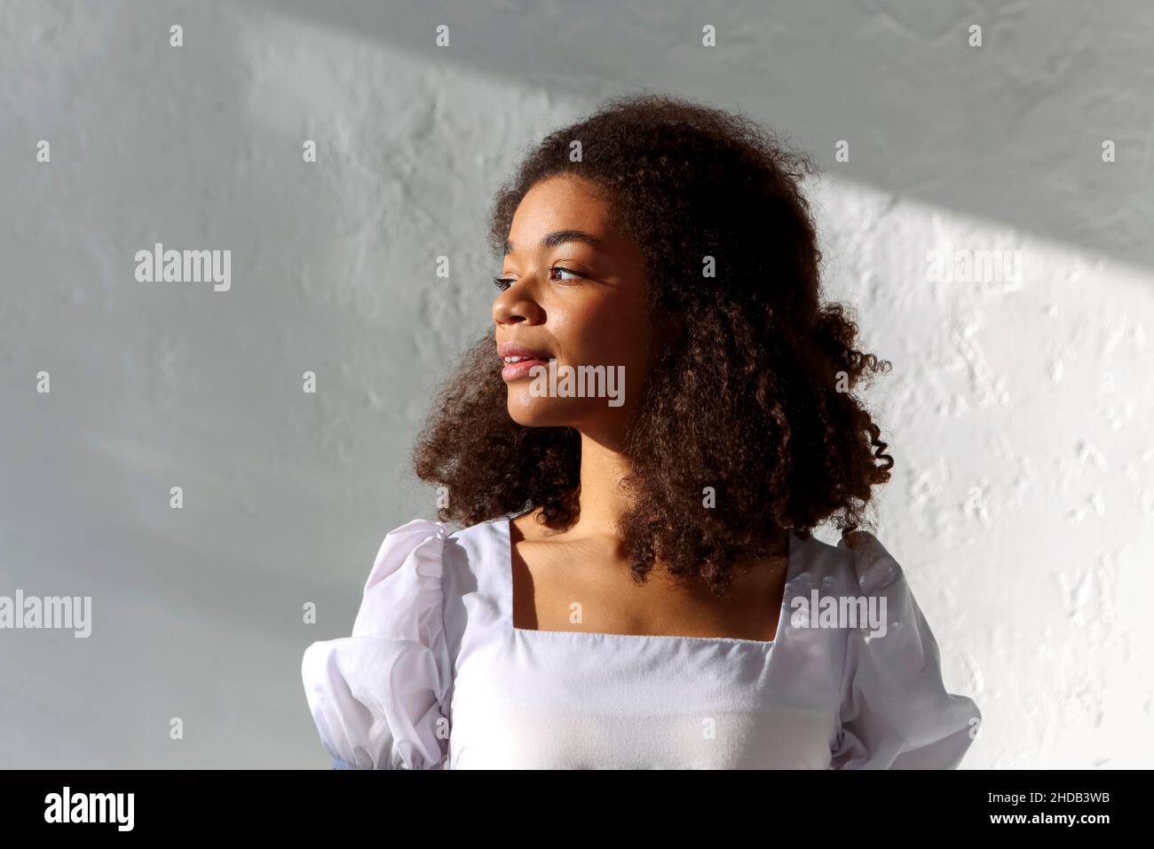 Ritratto tenero di giovane afroamericana con capelli ricci in piedi alla luce del sole al chiuso contro il muro grigio, guardando da parte con un sorriso dolce, Foto Stock