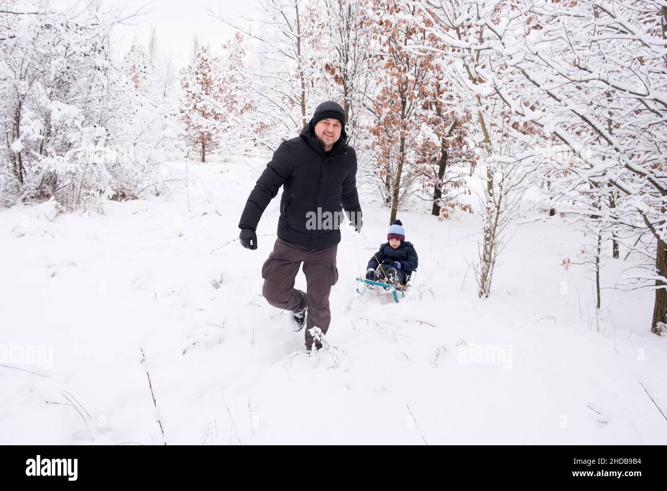 Papà che ha slittato suo figlio in una stazione sciistica in una foresta invernale coperta di neve Foto Stock