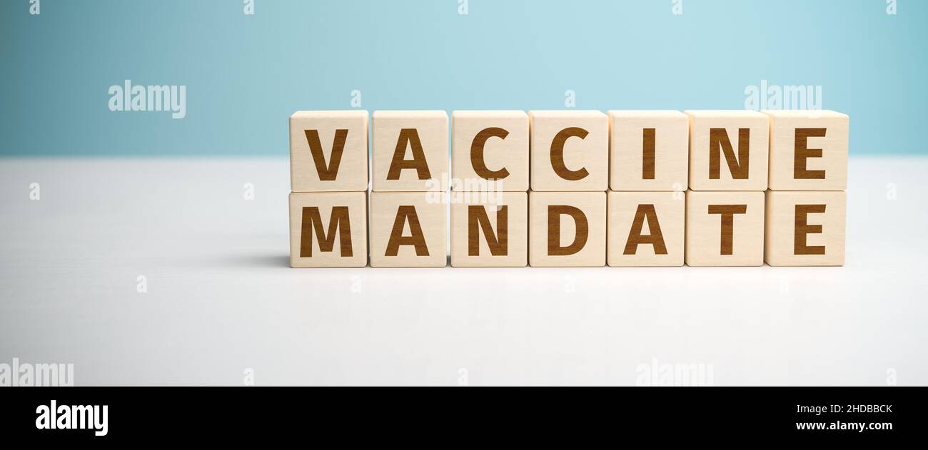 Le parole "mandato vaccinale" si basano su lettere a cubetti di legno. Formato banner Web Foto Stock