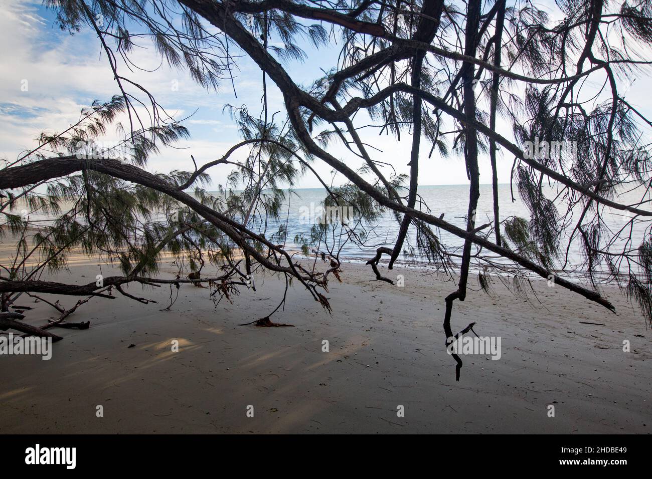 Scena della spiaggia nel Queensland tropicale del nord durante la marea entrante Foto Stock
