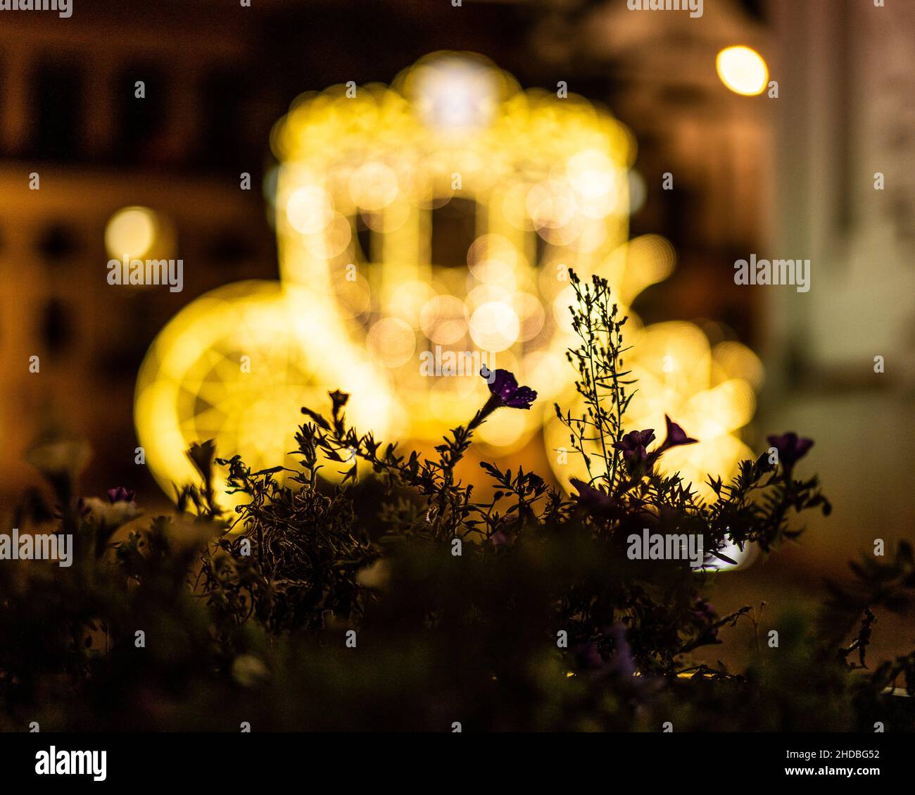 Fuoco poco profondo di piccoli fiori e un vagone blurry illuminato sullo sfondo Foto Stock