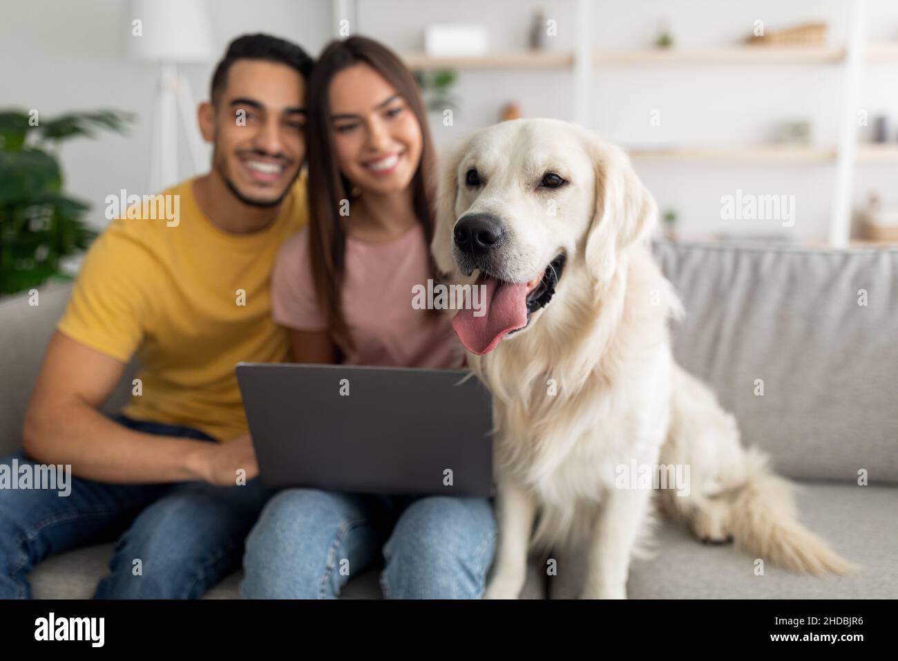 Positivo coppia internazionale millennial seduta sul divano con il loro cane, utilizzando il laptop per la comunicazione online a casa Foto Stock