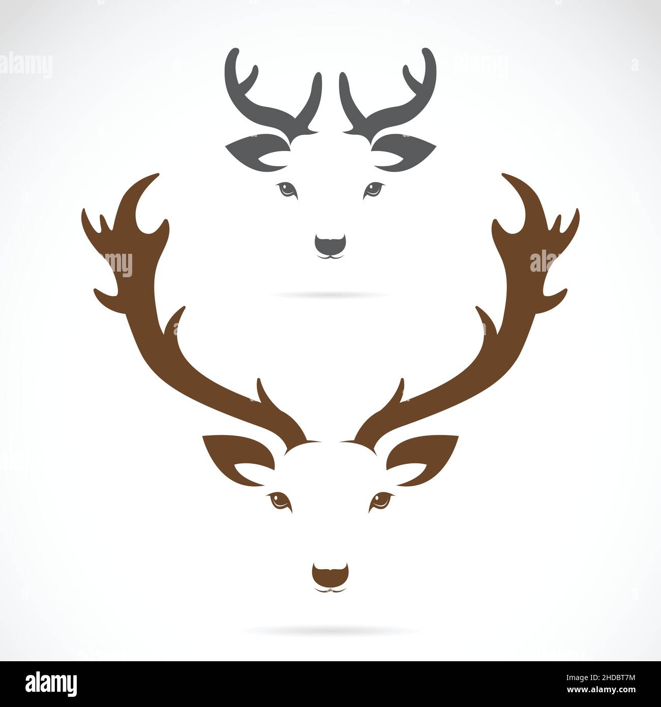 Vettore di testa di cervo su sfondo bianco. Illustrazione vettoriale a livelli facilmente modificabile. Illustrazione Vettoriale