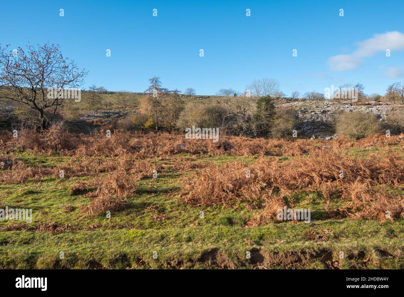 Campagna aperta sopra Grange-over-Sands nel Lake District meridionale, Cumbria Foto Stock
