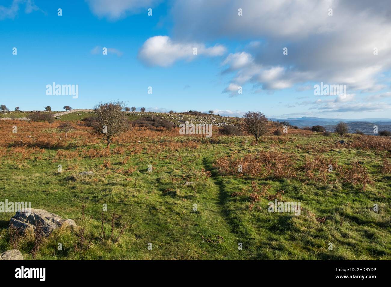 Campagna aperta sopra Grange-over-Sands nel Lake District meridionale, Cumbria Foto Stock