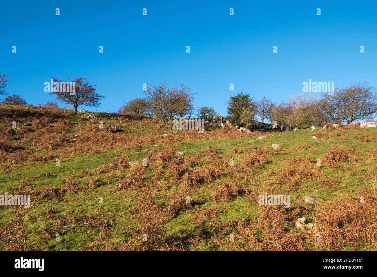 Campagna aperta sopra Grange-over-Sands nel Lake District meridionale, Cumbria Foto Stock
