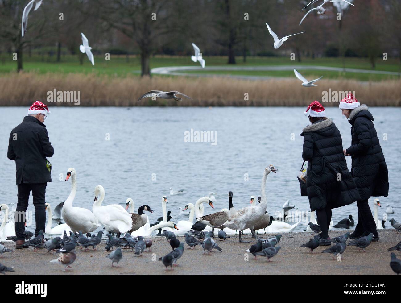 Le persone che indossano cappelli di Babbo Natale nutrono gli uccelli ad Hyde Park il giorno di Natale a Londra. Foto Stock