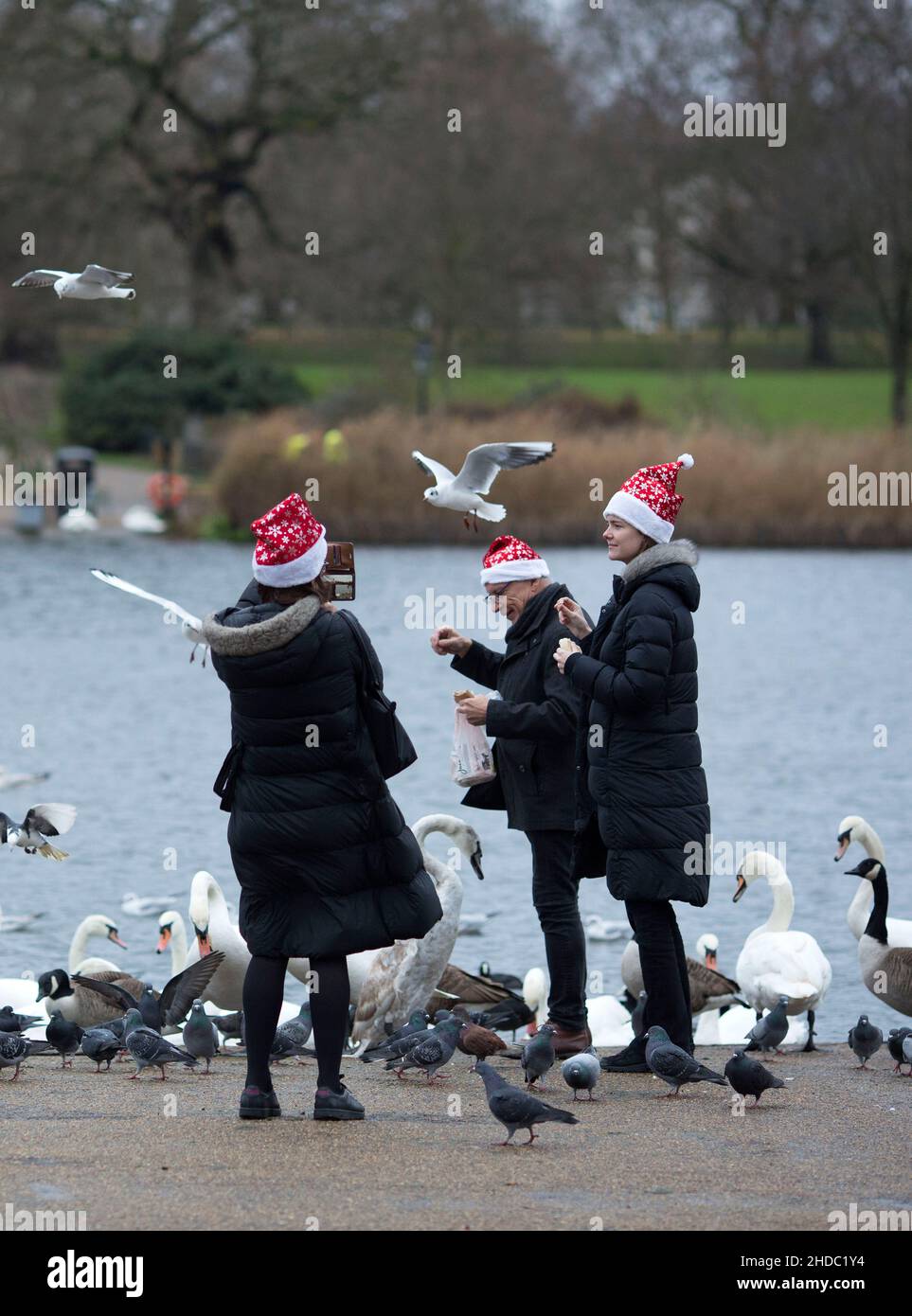 Le persone che indossano cappelli di Babbo Natale nutrono gli uccelli ad Hyde Park il giorno di Natale a Londra. Foto Stock