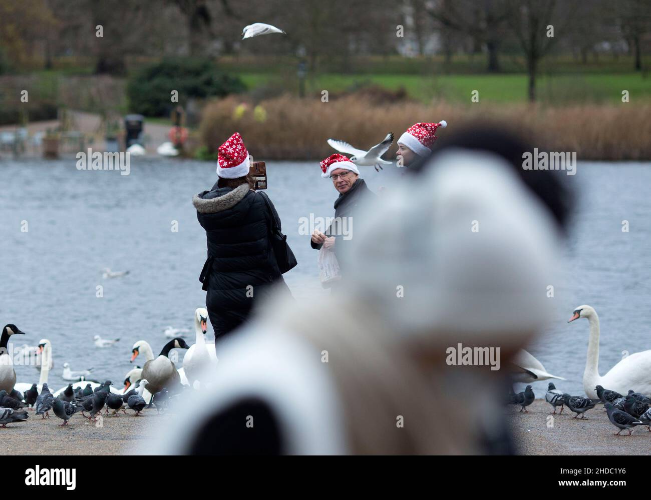 Le persone che indossano i cappelli di Babbo Natale nutrono gli uccelli mentre i pedoni che indossano le coperture del viso li oltrepassano ad Hyde Park il giorno di Natale a Londra. Foto Stock