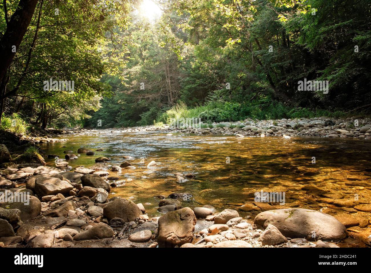Il sole che si affaccia attraverso gli alberi sul fiume Pigeon nella Carolina del Nord Occidentale Foto Stock