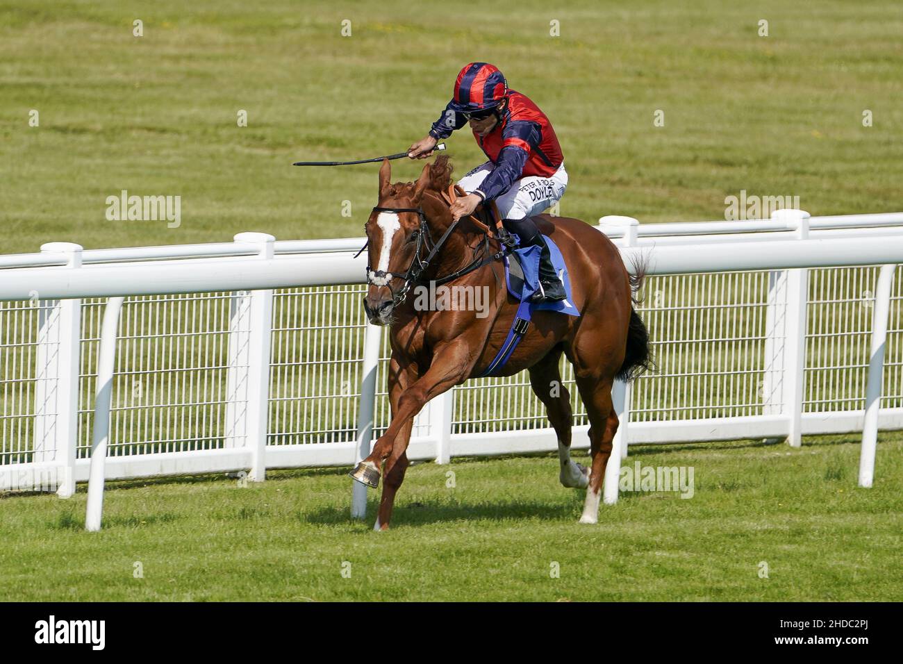 Foto di archivio datata 23-06-2021 di Sean Levey in sella a Nuits St Georges tornando a casa per vincere l'handicap commemorativo di Ian Elton all'ippodromo di Salisbury. Nuits St Georges, un handicap intelligente che si ferma in Flat, ha lasciato David Menuisier per proseguire una carriera oltre i salti con il trainer irlandese Henry de Bromhead. Data di emissione: Mercoledì 5 gennaio 2022. Foto Stock