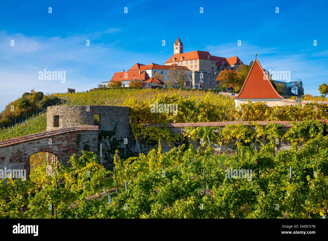 Vista generale di Riegersburg, Riegersburg, Stiria, Austria, Europa Foto Stock