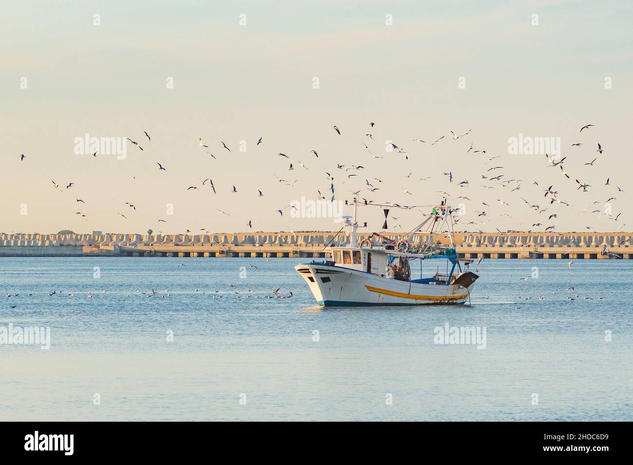 Una vecchia barca da pesca di ritorno dalla pesca entra nel porto al tramonto accompagnato da un gregge di gabbiani Foto Stock