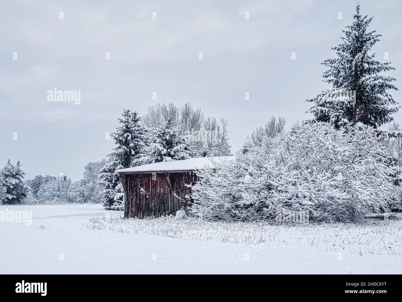 Bellissimo scatto di un edificio di campagna in legno circondato da alberi completamente coperti di neve. Foto Stock
