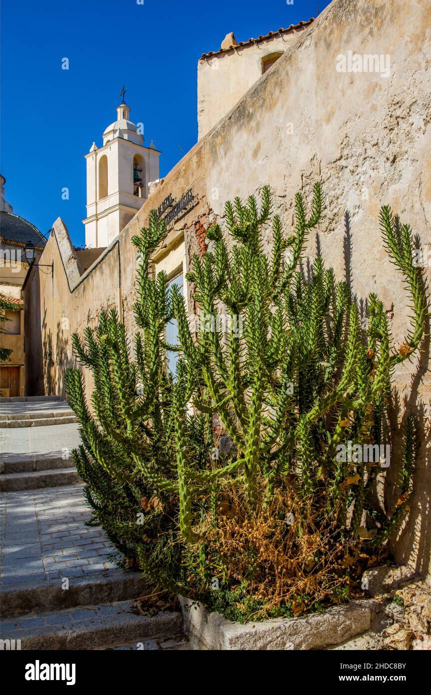 Cattedrale di St Jean Baptiste, Calvi, Corsica, Calvi, Corsica, Francia Foto Stock