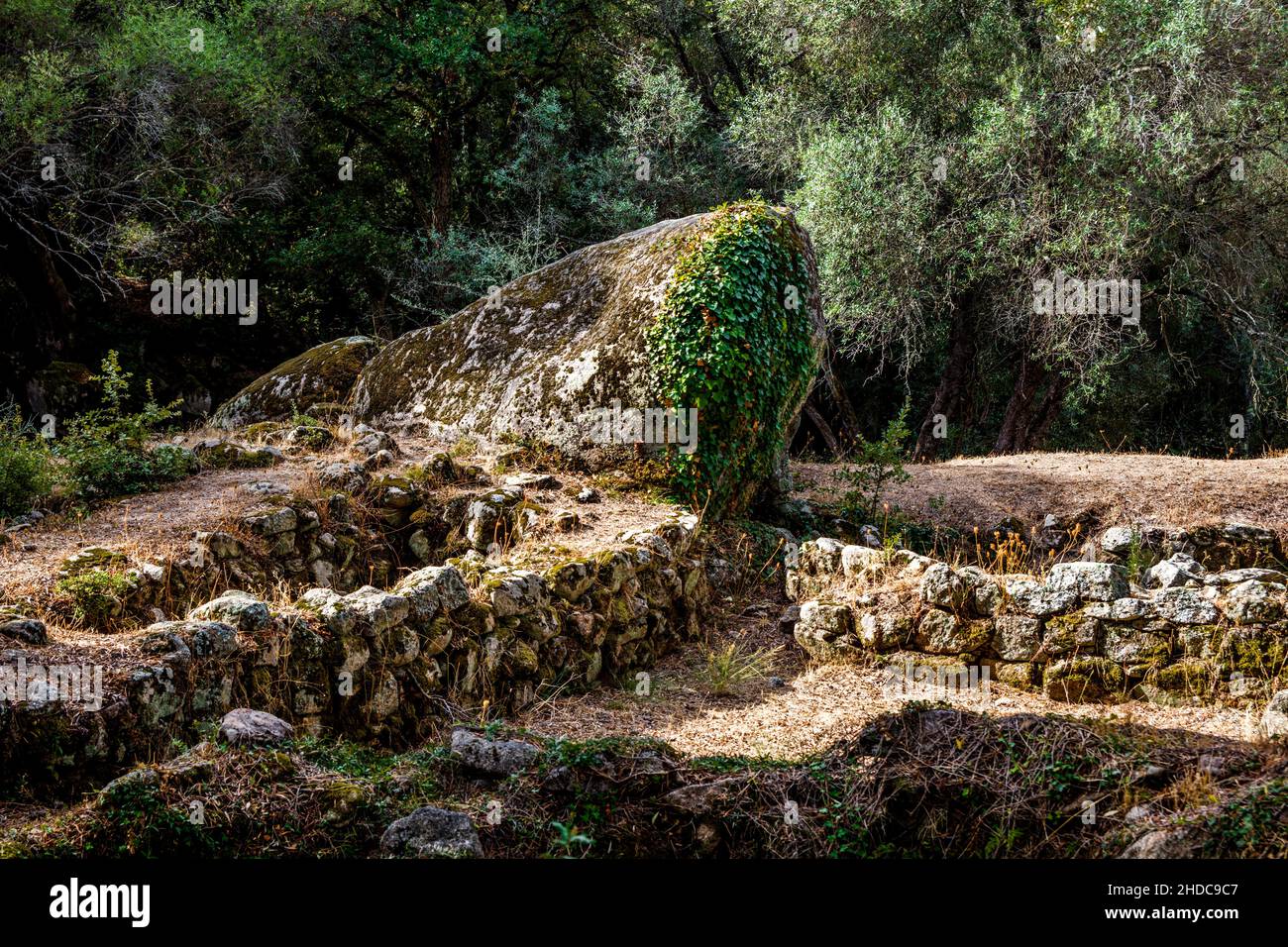 Resti di capanne in pietra dell'età del bronzo, sito archeologico di Filitosa, Corsica, Filitosa, Corsica, Francia, Europa Foto Stock