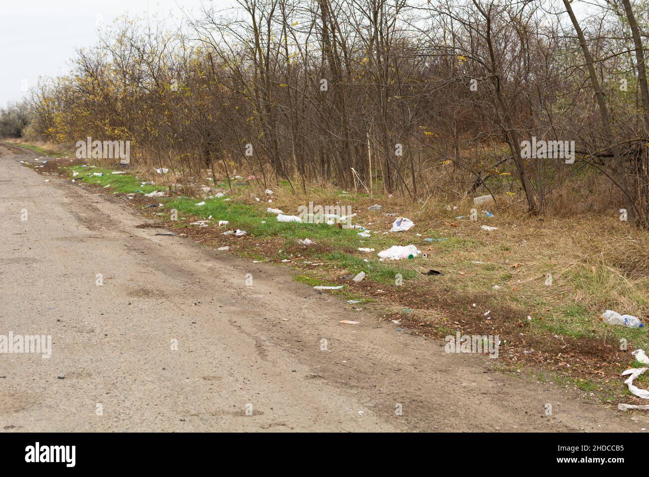 Odessa regione, Ucraina - 7 novembre 2021 spazzatura lungo la strada, plastica, bottiglie, sacchetti. Concetto ambientale. Salvare il pianeta. Foto Stock