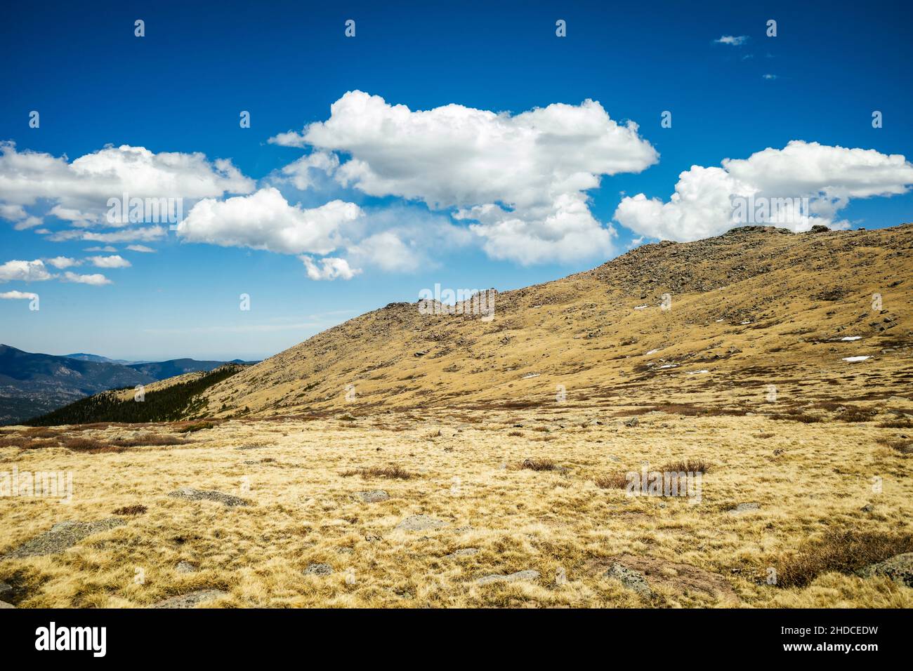 Paesaggio nel Mount Evans Wilderness, Colorado Foto Stock