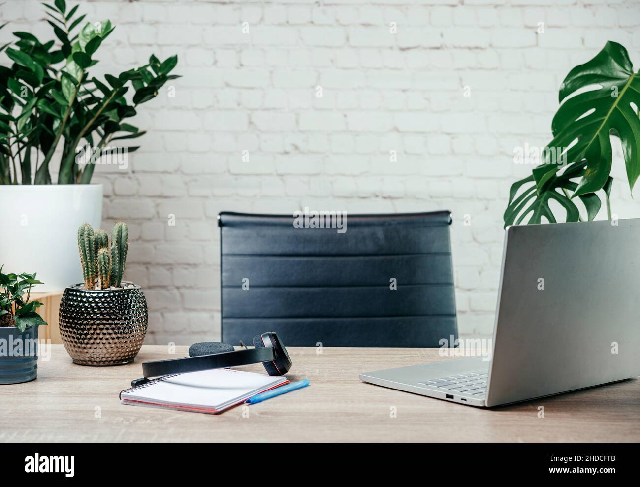 Un moderno spazio di lavoro per l'ufficio domestico con computer portatile, notebook, cuffie e piante e succulenti alla moda Foto Stock