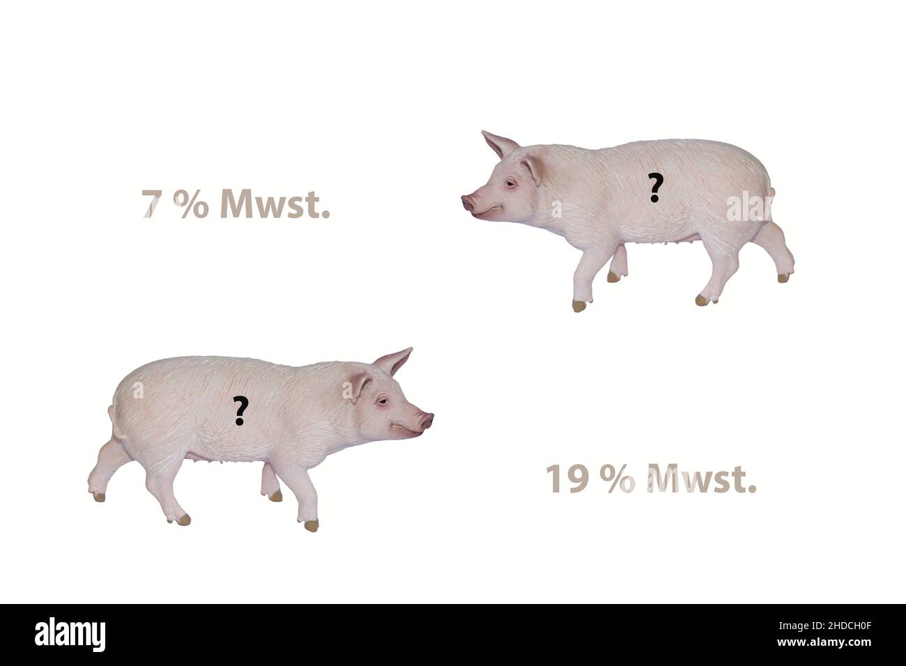 Tiere, Schwein, Fleischlieferanten, Erhoehung der Mwst. Von 7% auf 19%, Steuer, Foto Stock