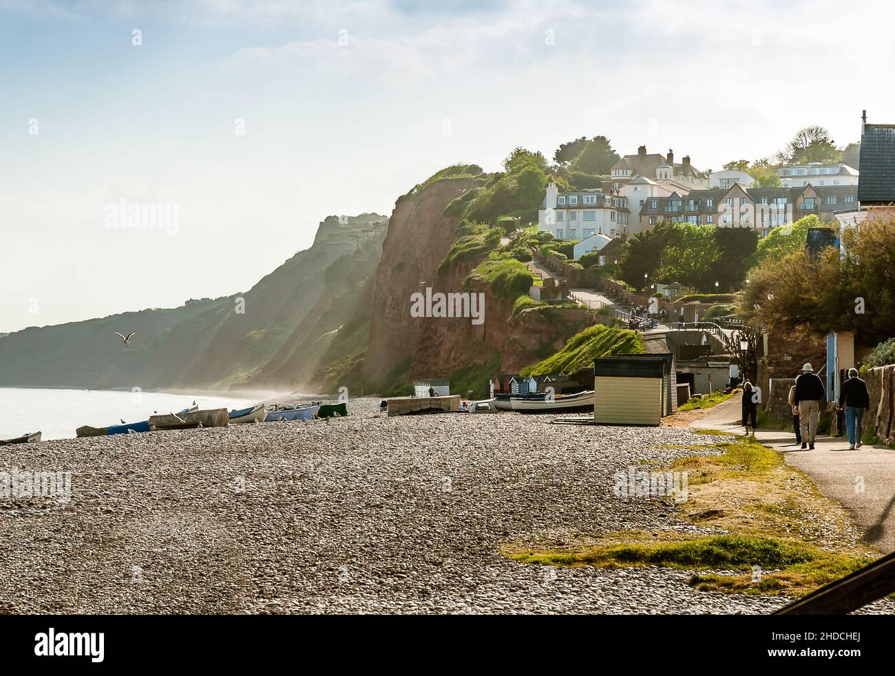 Budleigh Beach. Vista verso le scogliere la sera di aprile. Foto Stock