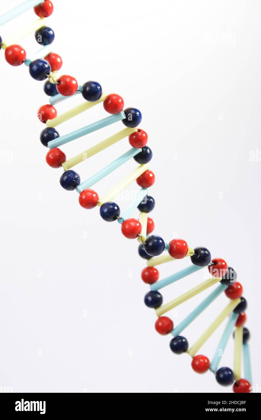 DNA Symbolbild, Gentechnik, DNA-Strang, Foto Stock