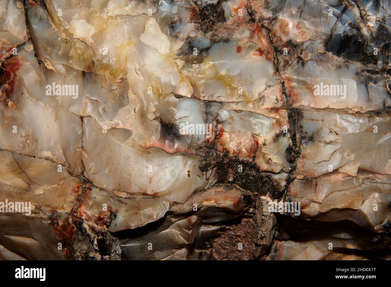 Primo piano di vari cristalli colorati trovati in un pezzo di legno pietrificato. Primo piano di vari cristalli colorati trovati in un pezzo di legno pietrificato. Foto Stock