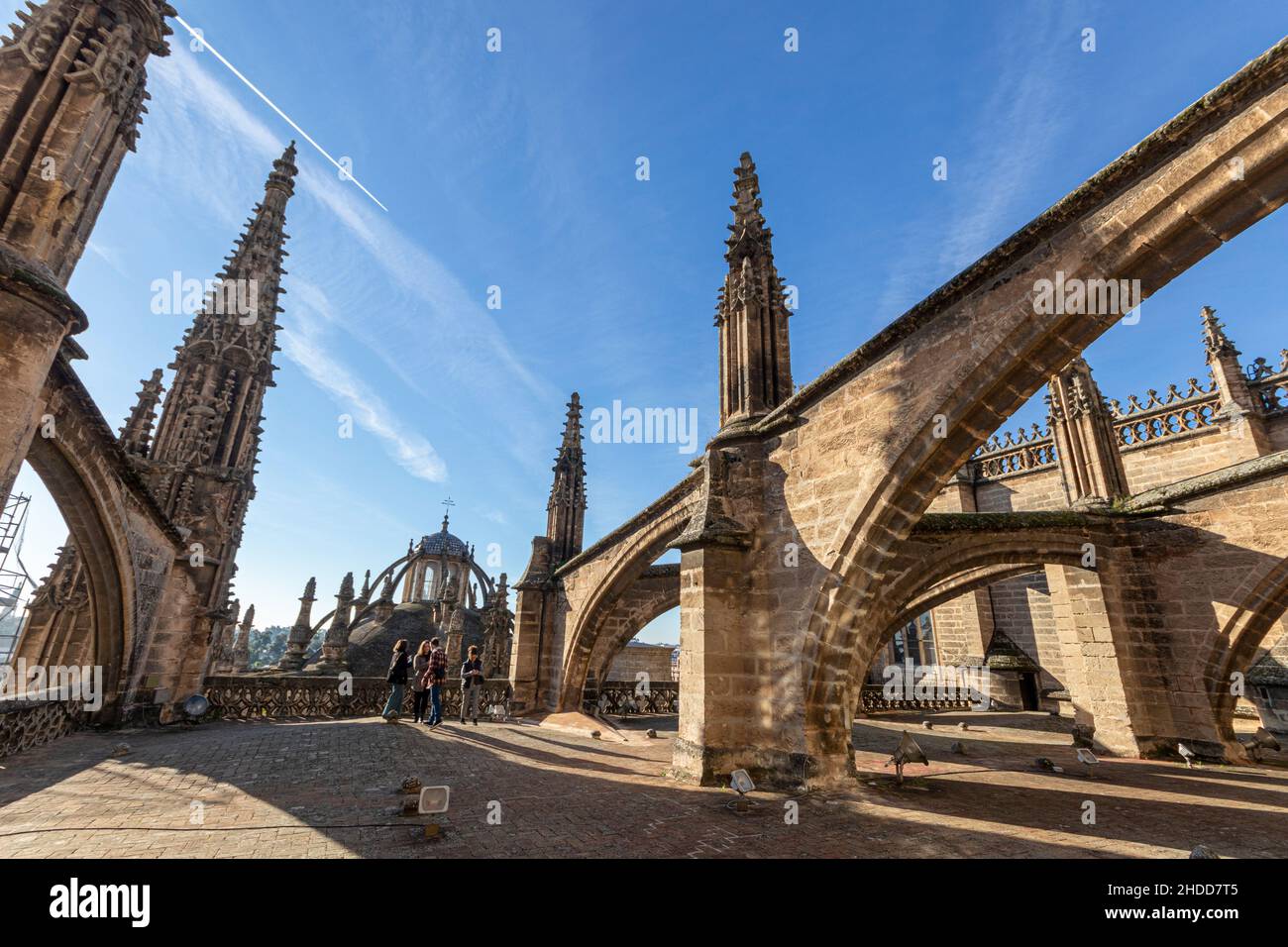 Sevilla, Spagna. Dettagli del tetto la cattedrale gotica di Santa Maria del See Foto Stock