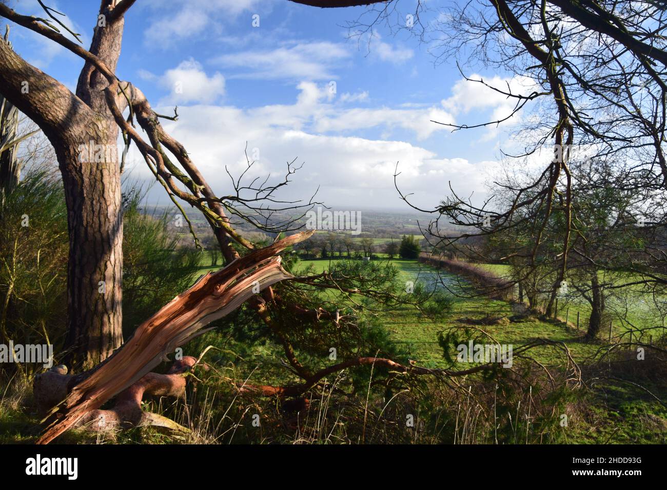Dirigiti verso il castello di Chirk lungo il sentiero della diga Offa e guarda verso la splendida campagna lungo il percorso. Foto Stock