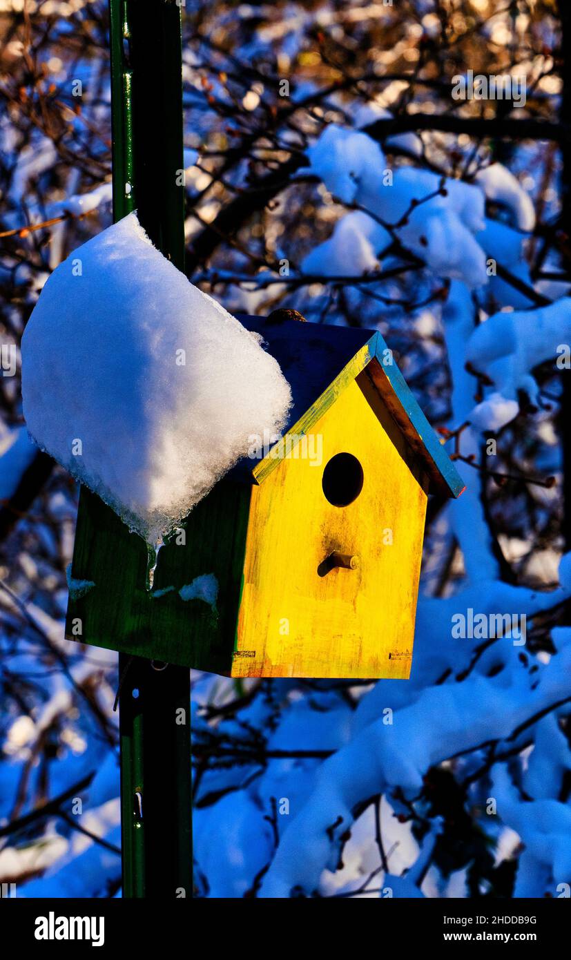 Un birdhouse in una giornata di neve winrer Foto Stock