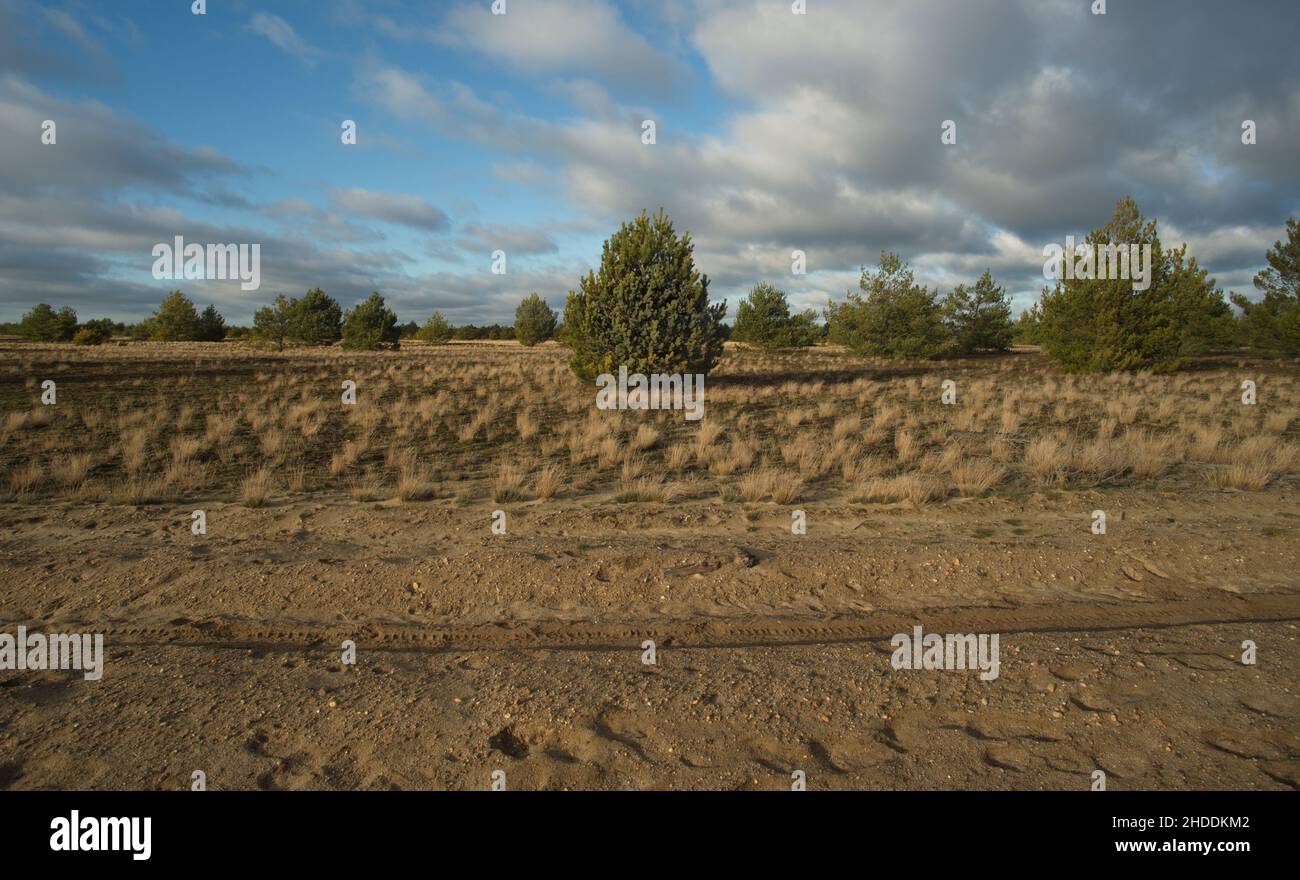 Ex area di addestramento dell'esercito sovietico vicino a Luckenwalde, Germania Foto Stock
