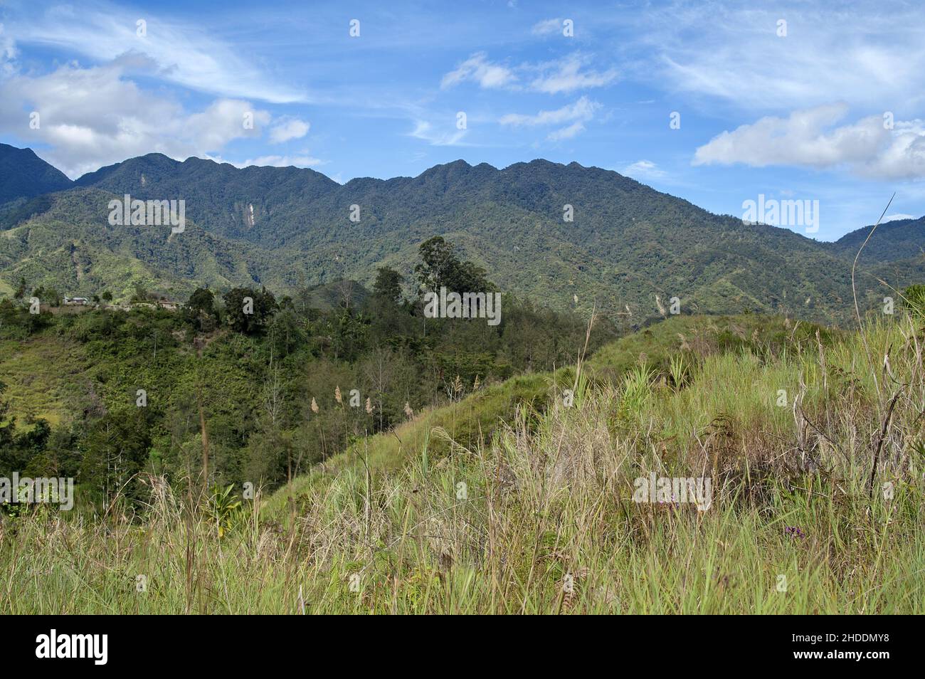 Papua Nuova Guinea; Highlands orientali; Goroka; Namta (Mefenga); paesaggio montano tipico nel Papua centrale; Typische Berglandschaft in Zentral-Papua Foto Stock