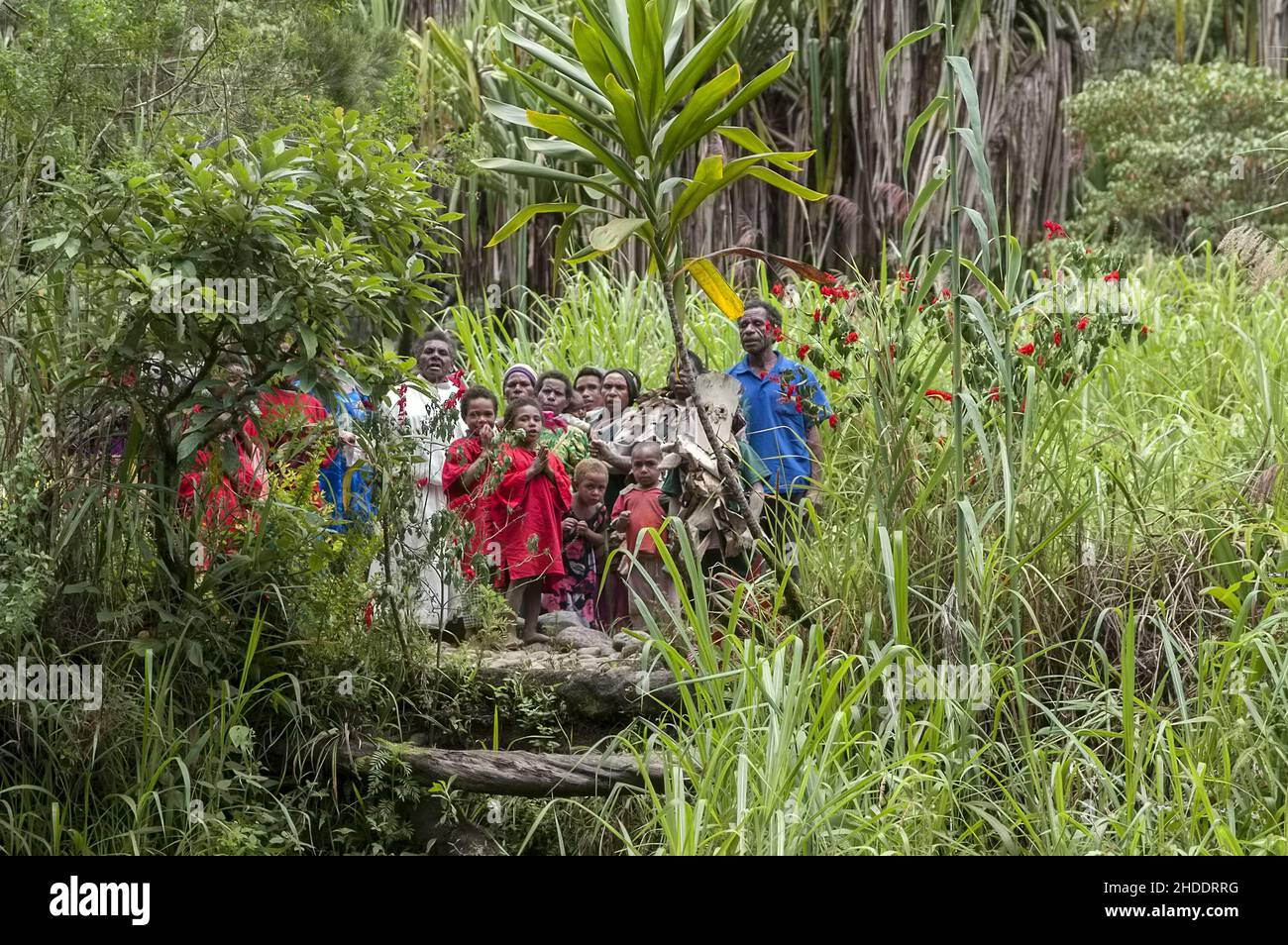 Papua Nuova Guinea; Highlands orientali; Goroka; Namta (Mefenga); un gruppo di Papuani nel cespuglio. Eine Gruppe Papuas im Busch. 一群巴布亞人在灌木叢中。Papuasi busz Foto Stock